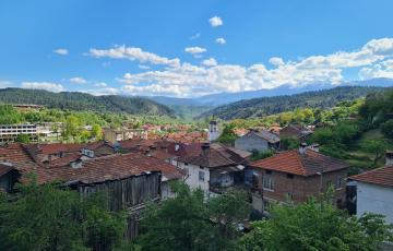 Елешница
